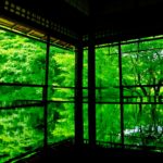 京都市左京区 瑠璃光院春・夏の特別拝観 書院の机に映り込む新緑の青もみじ（床もみじ）