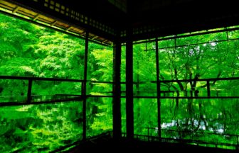 京都市左京区 瑠璃光院春・夏の特別拝観 書院の机に映り込む新緑の青もみじ（床もみじ）