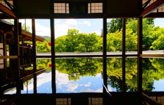 群馬県桐生市 鮮やかな新緑が方丈の床に美しく映り込む宝徳寺の春の床もみじ