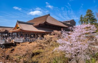 京都市東山区 世界遺産・清水寺の満開の桜と清水の舞台の景観