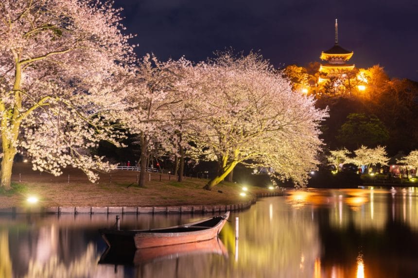 神奈川県横浜市 三溪園の桜ライトアップと三重塔の夜景