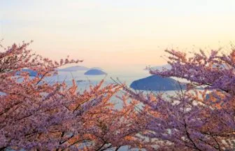 香川県三豊市 瀬戸内海の多島美と満開の桜が織りなす紫雲出山の絶景