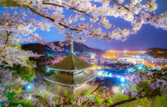 広島県尾道市 千光寺公園の夜桜越しに見る天寧寺三重塔と尾道水道の美しい夜景