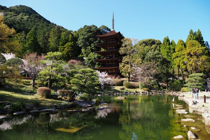 山口県山口市 日本三大名塔の一つ国宝・瑠璃光寺五重塔と春の桜