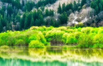 山形県飯豊町 飯豊連峰の雪解け水が生み出す白川湖の水没林