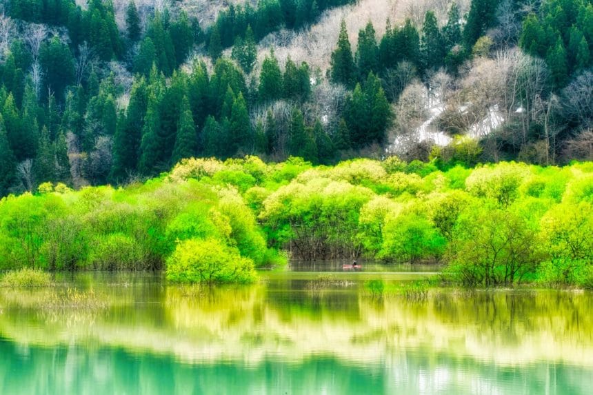 山形県飯豊町 飯豊連峰の雪解け水が生み出す白川湖の水没林