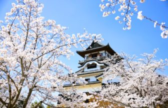 愛知県犬山市 国宝に指定された現存12天守の一つである犬山城の現存天守と咲き誇る美しい桜