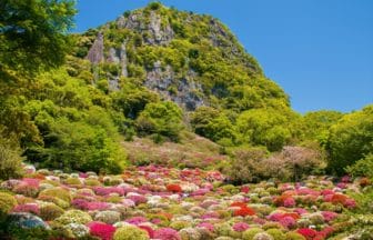佐賀県武雄市 御船山楽園のツツジが咲く庭園の景観