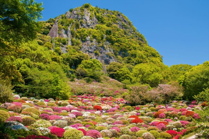 佐賀県武雄市 御船山楽園のツツジが咲く庭園の景観