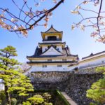 高知県高知市 桜が咲き誇る春の高知城天守閣