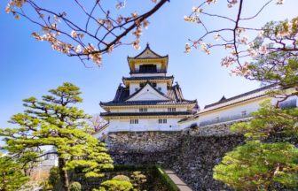 高知県高知市 桜が咲き誇る春の高知城天守閣