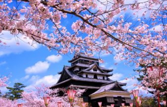 島根県松江市 松江城天守と満開の桜の風景