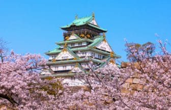 大阪市中央区 大阪城天守閣と西の丸庭園の桜